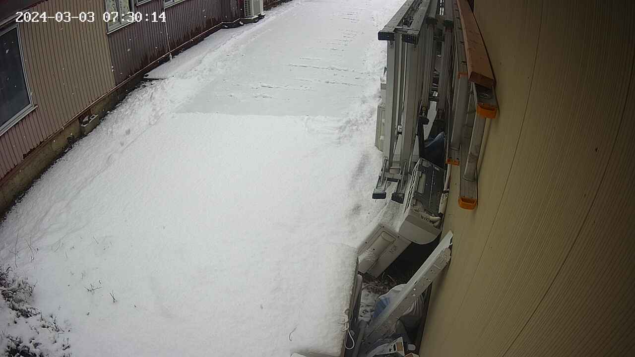 yotec2-20240303073016.jpg