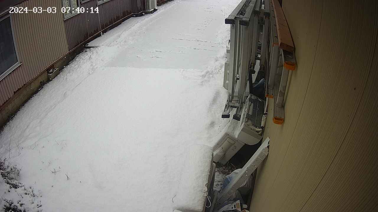 yotec2-20240303074015.jpg
