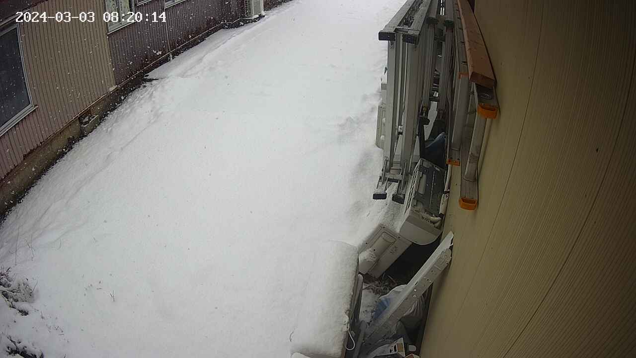 yotec2-20240303082015.jpg