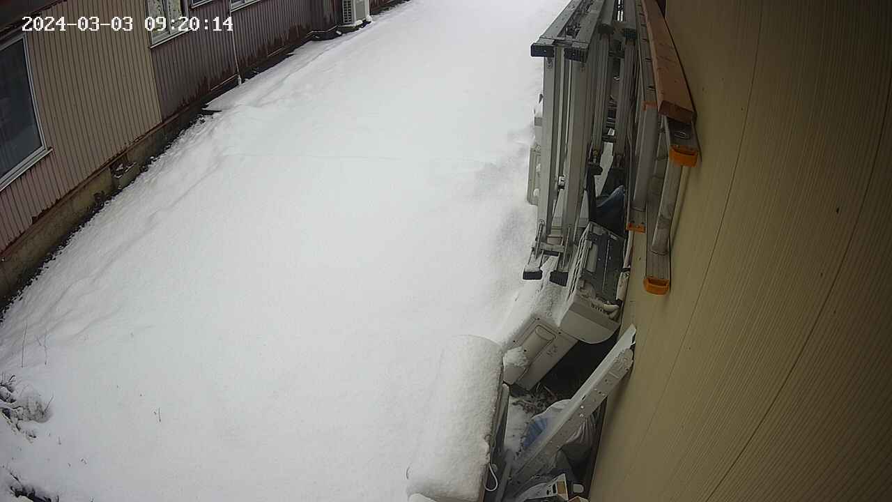 yotec2-20240303092015.jpg