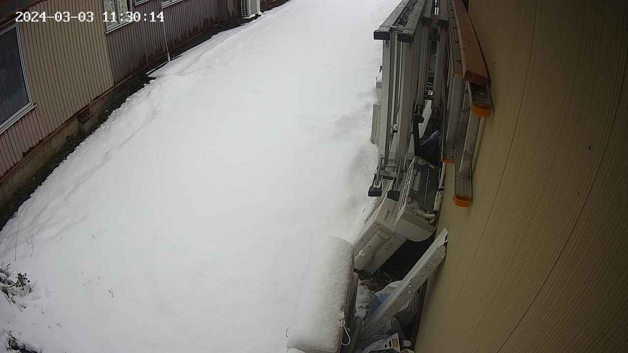 yotec2-20240303113014.jpg