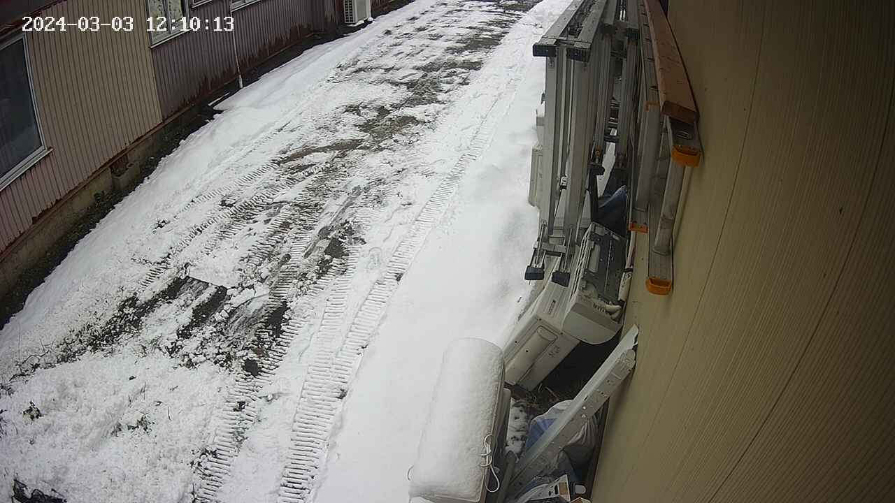 yotec2-20240303121014.jpg