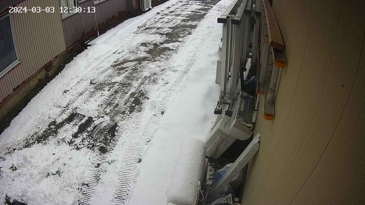 yotec2-20240303123014.jpg