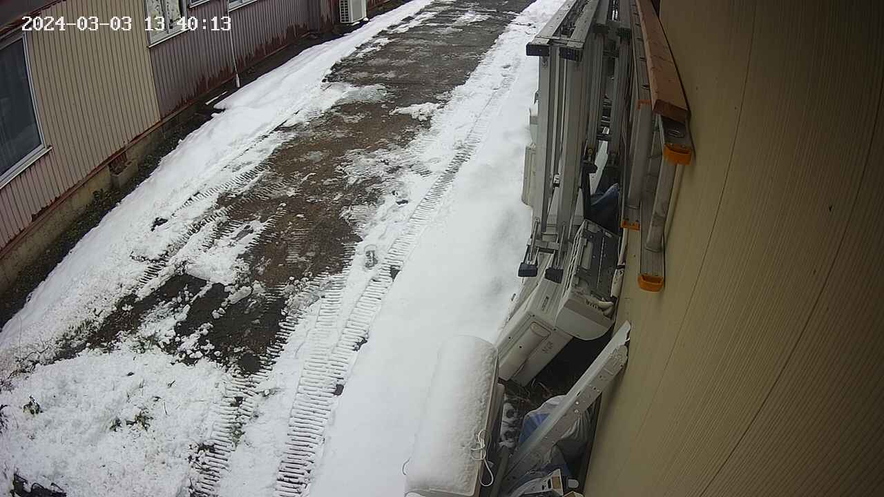 yotec2-20240303134014.jpg