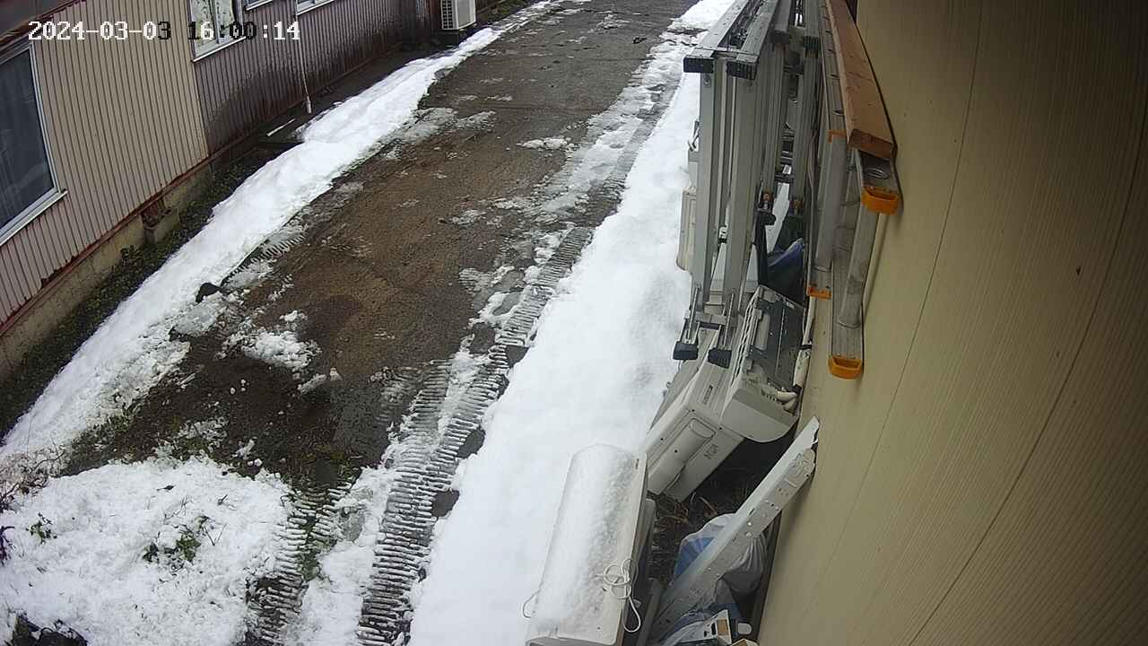 yotec2-20240303160015.jpg