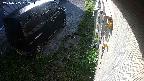 yotec2-20240505062015.jpg