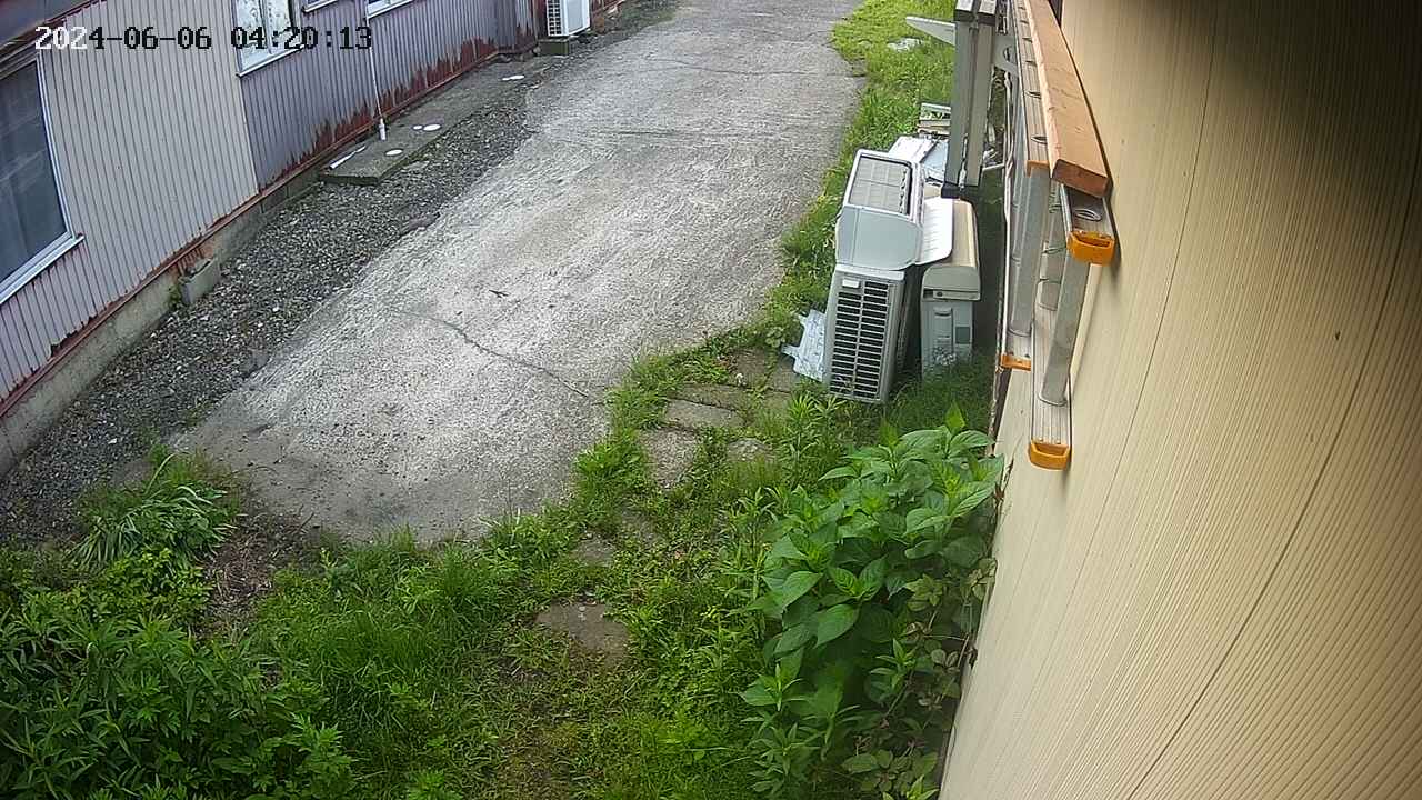 yotec2-20240606042014.jpg