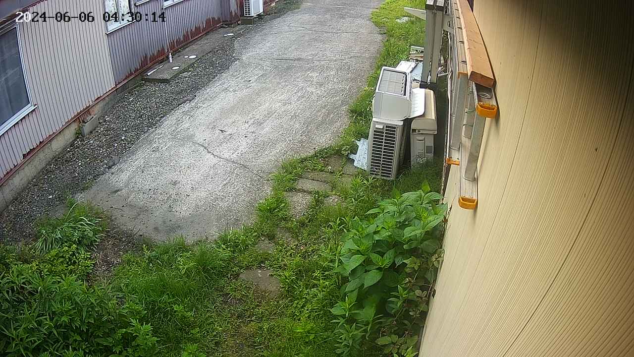 yotec2-20240606043015.jpg