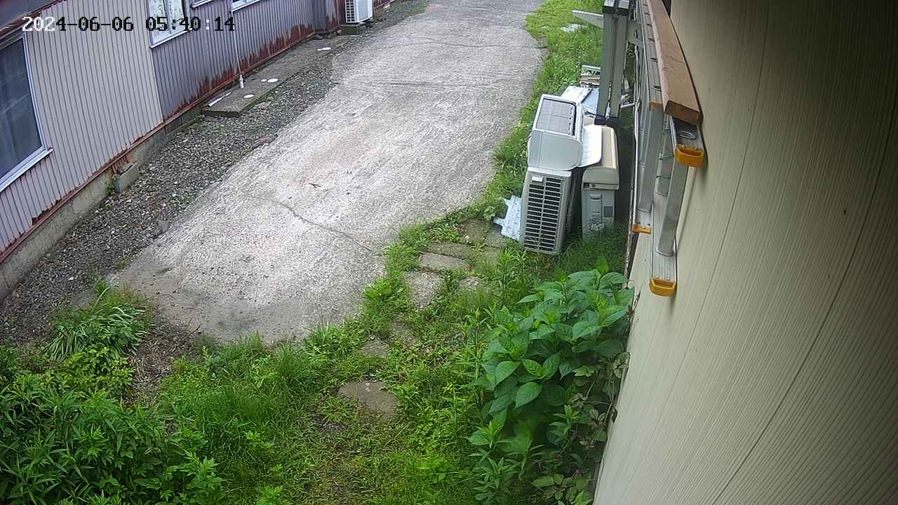yotec2-20240606054015.jpg