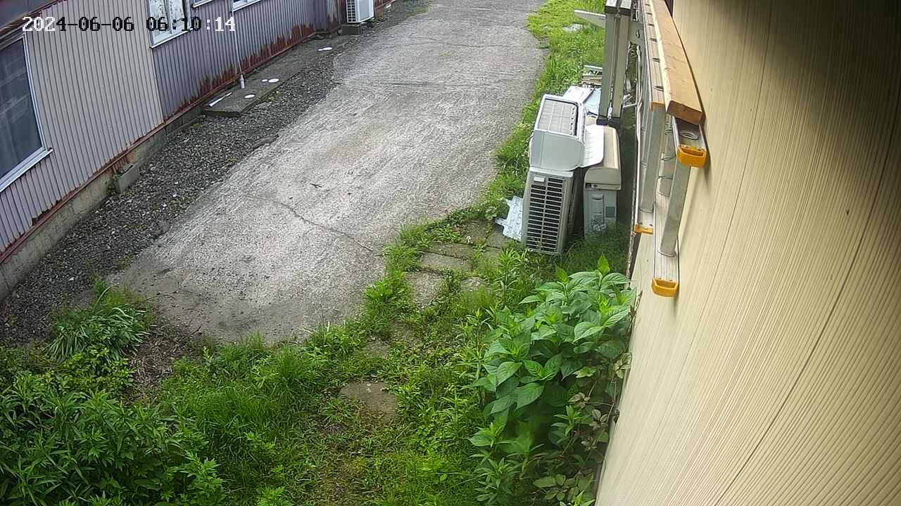 yotec2-20240606061015.jpg