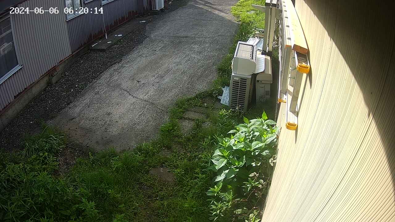 yotec2-20240606062015.jpg