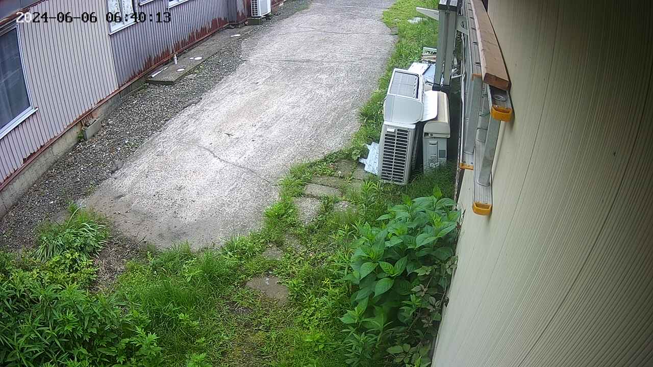 yotec2-20240606064015.jpg
