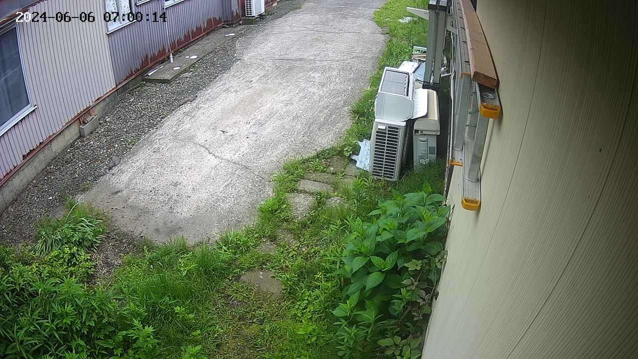 yotec2-20240606070015.jpg