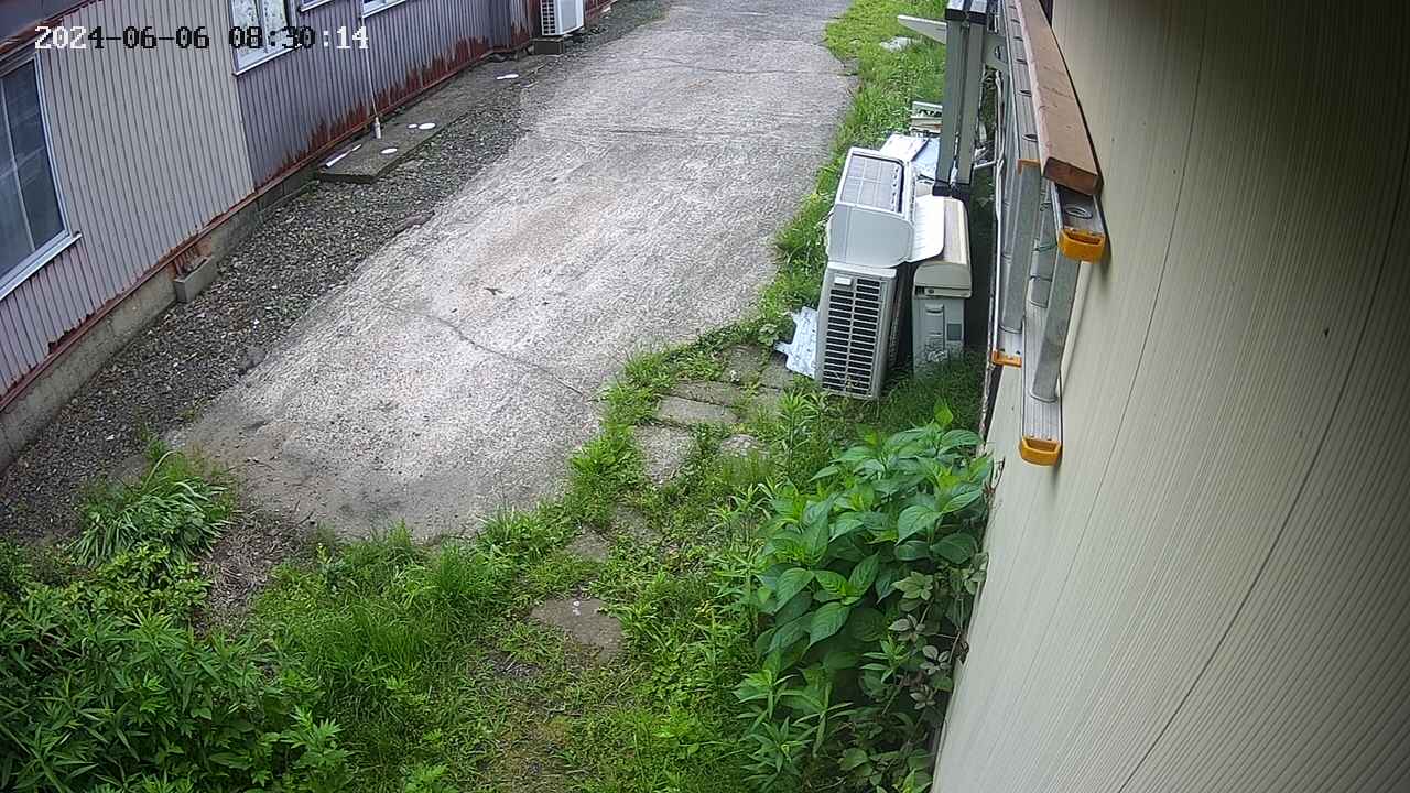 yotec2-20240606083015.jpg