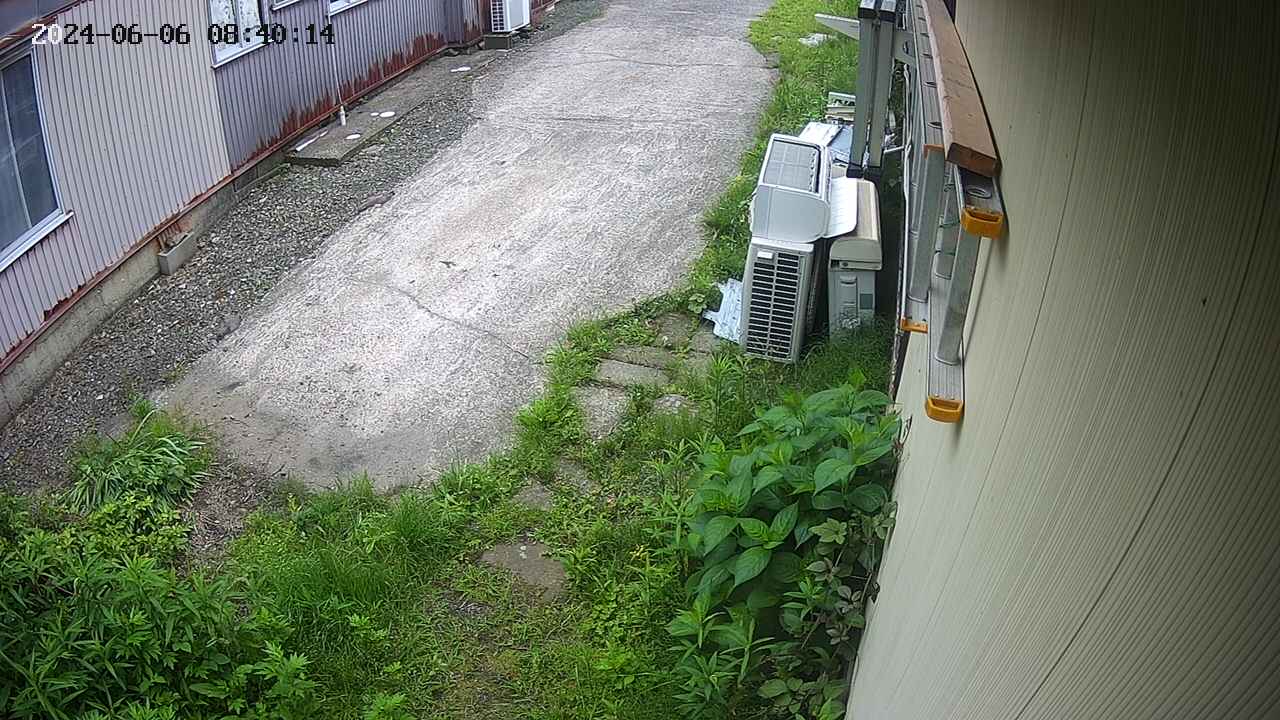 yotec2-20240606084015.jpg