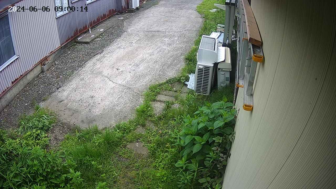 yotec2-20240606090016.jpg