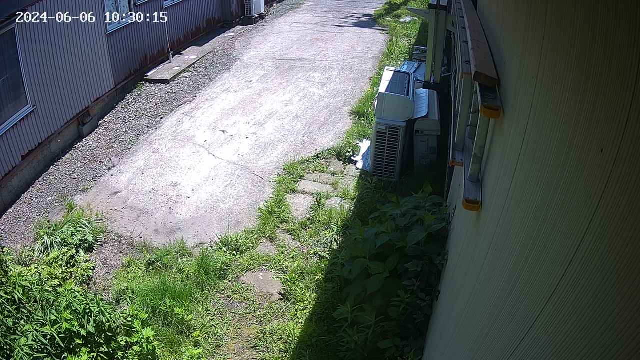 yotec2-20240606103016.jpg