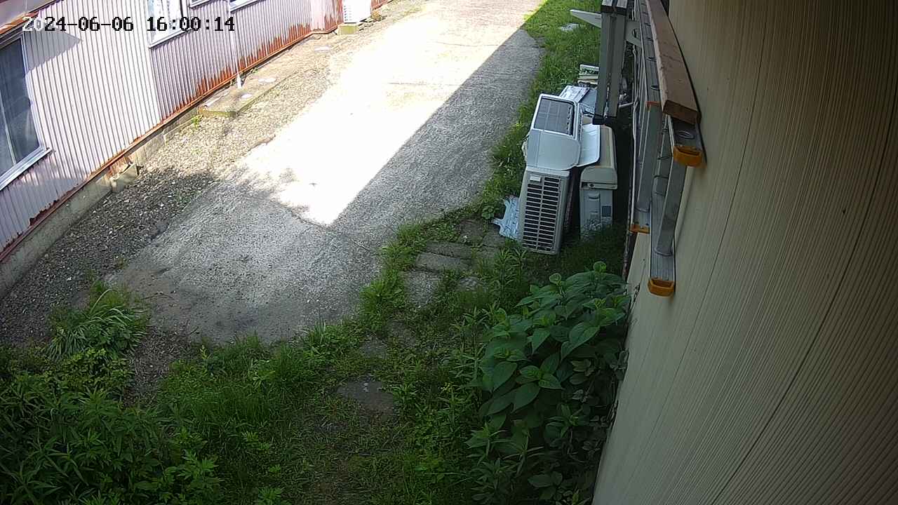 yotec2-20240606160016.jpg