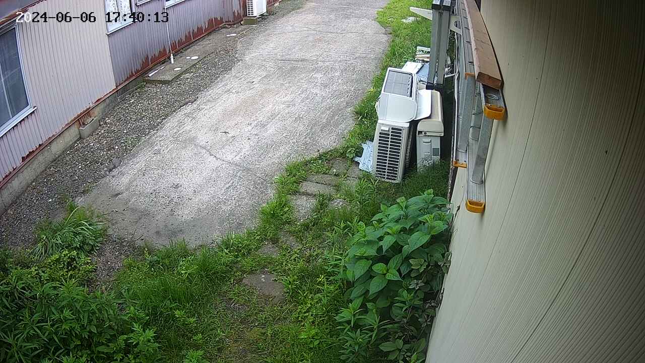 yotec2-20240606174014.jpg