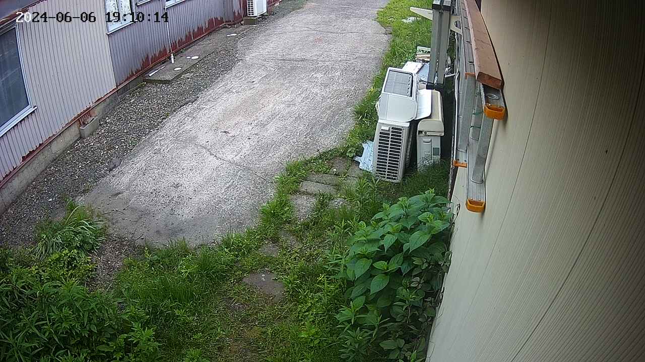 yotec2-20240606191015.jpg