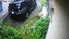 yotec2-20240707072015.jpg