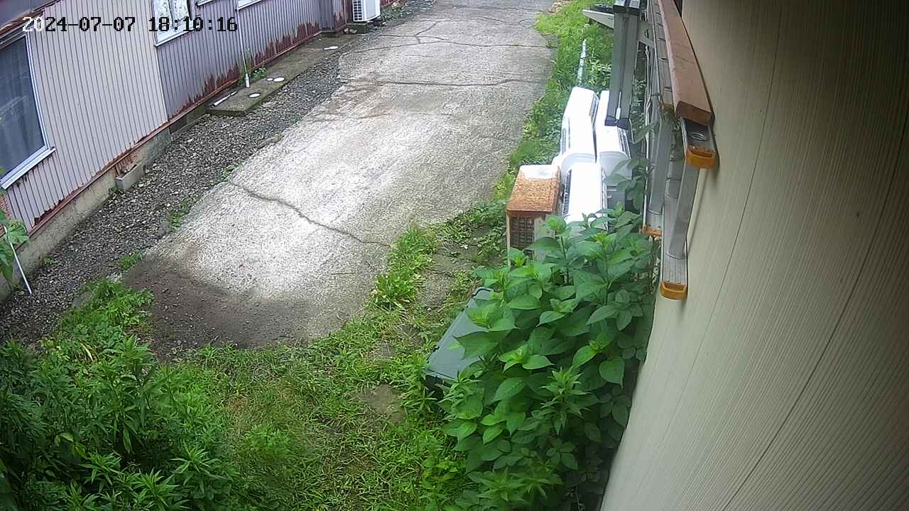 yotec2-20240707181016.jpg