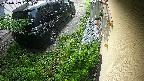 yotec2-20240909053015.jpg
