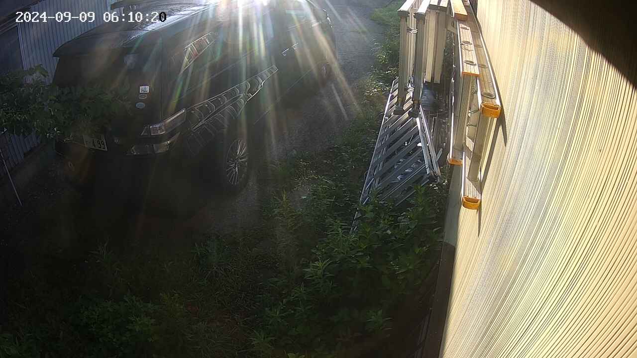 yotec2-20240909061014.jpg