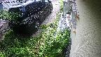 yotec2-20240909075019.jpg