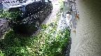 yotec2-20240909080017.jpg