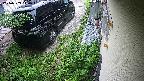 yotec2-20240909110015.jpg