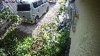 yotec2-20241010073018.jpg