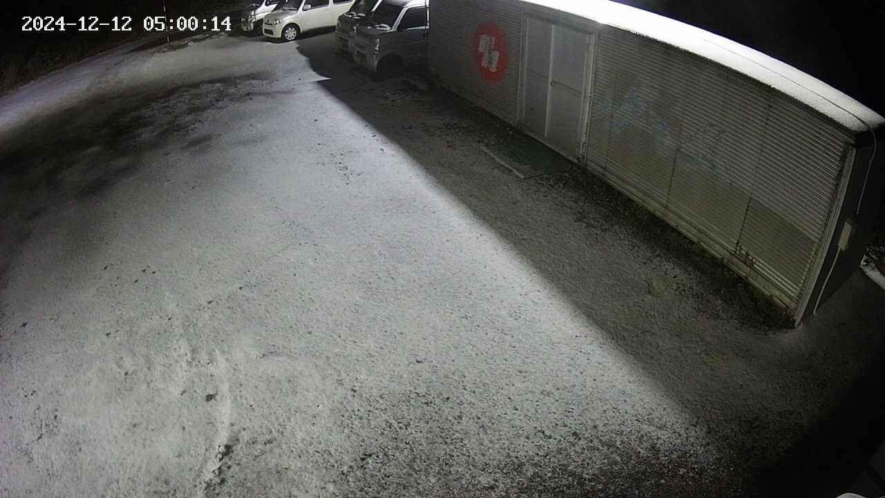 yotec2-20241212050015.jpg