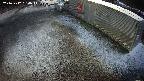 yotec2-20241212164015.jpg