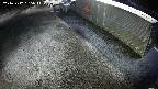 yotec2-20241212165015.jpg