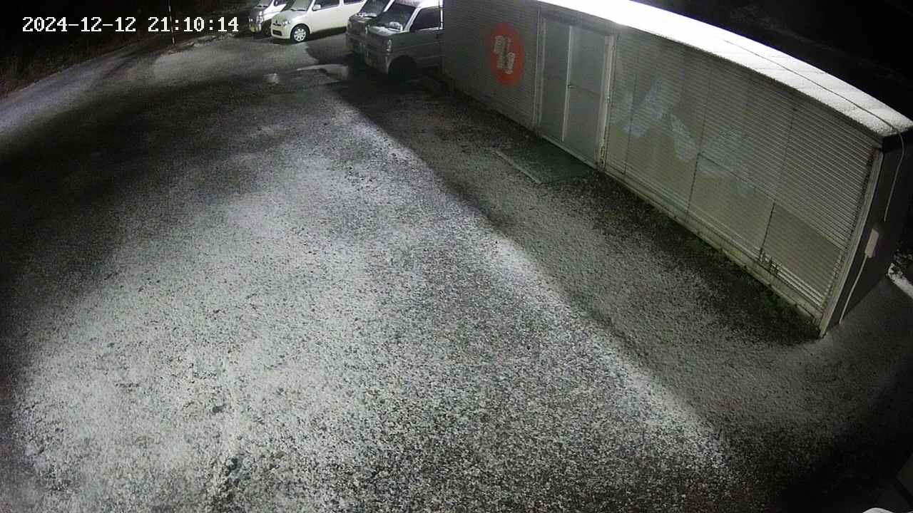yotec2-20241212211015.jpg