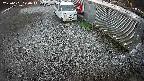 yotec2-20250101070016.jpg