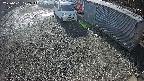 yotec2-20250101122015.jpg