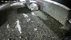 yotec2-20250202002014.jpg