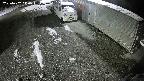yotec2-20250202010014.jpg