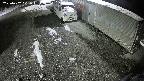 yotec2-20250202021014.jpg