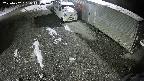 yotec2-20250202031015.jpg