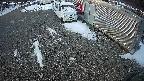 yotec2-20250202063014.jpg