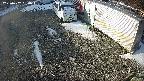 yotec2-20250202080016.jpg