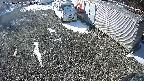 yotec2-20250202101016.jpg