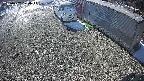 yotec2-20250202120016.jpg