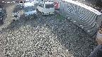 yotec2-20250303144015.jpg