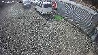 yotec2-20250307120017.jpg