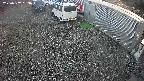 yotec2-20250307163016.jpg