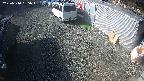 yotec2-20250310085017.jpg